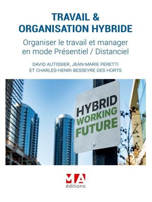 cover image of TRAVAIL & ORGANISATION HYBRIDE